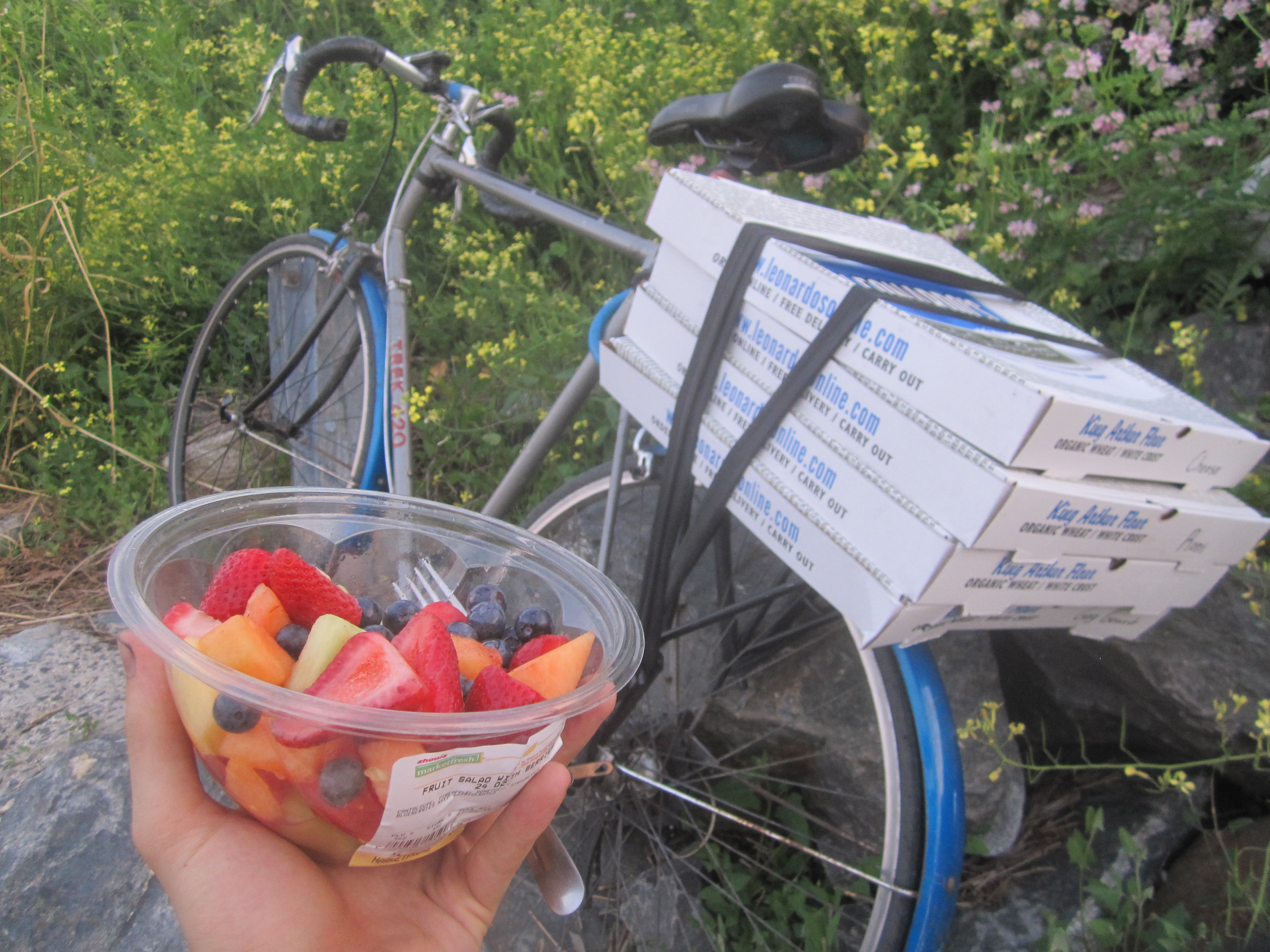 dumpster treats for the fourth