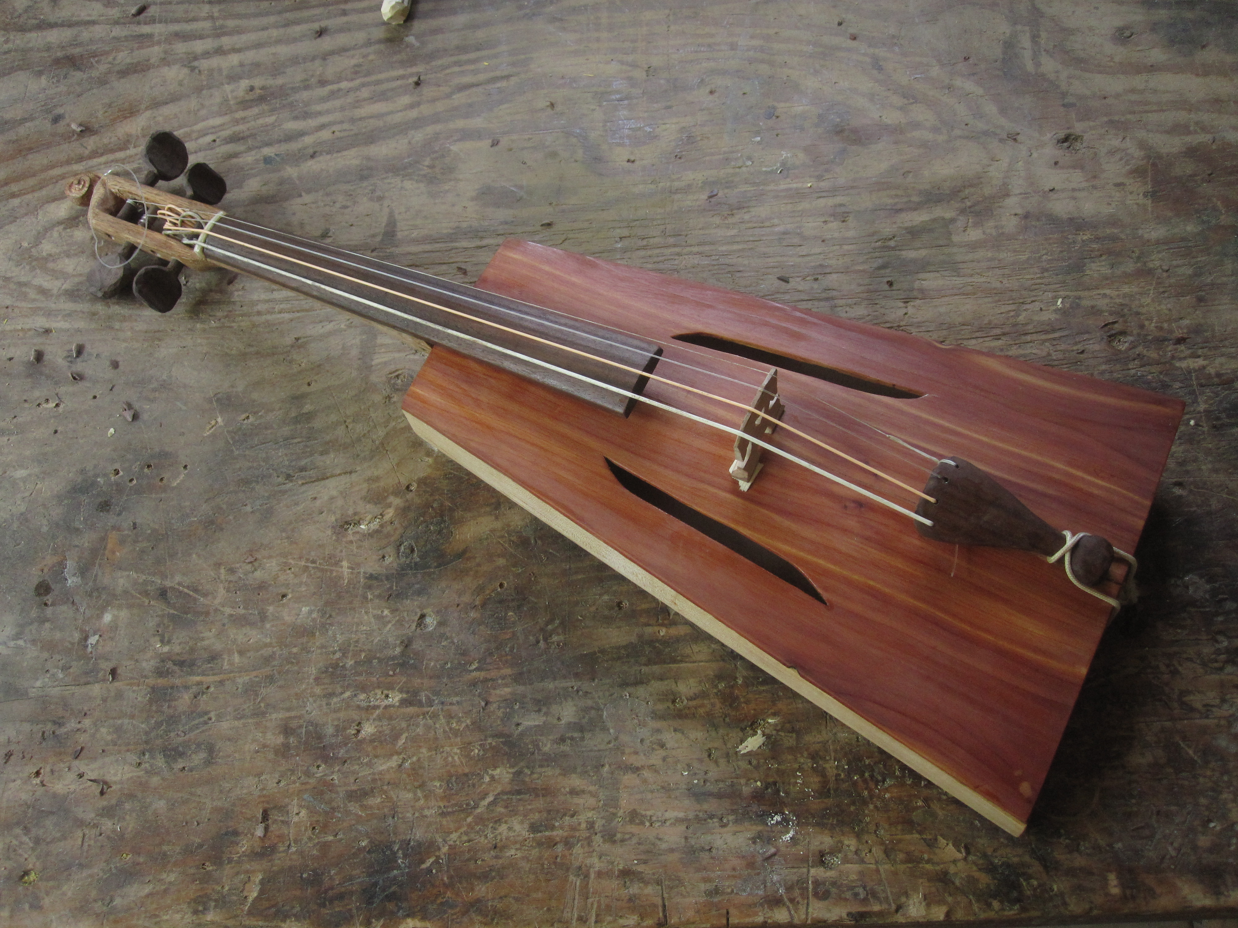 my fiddle